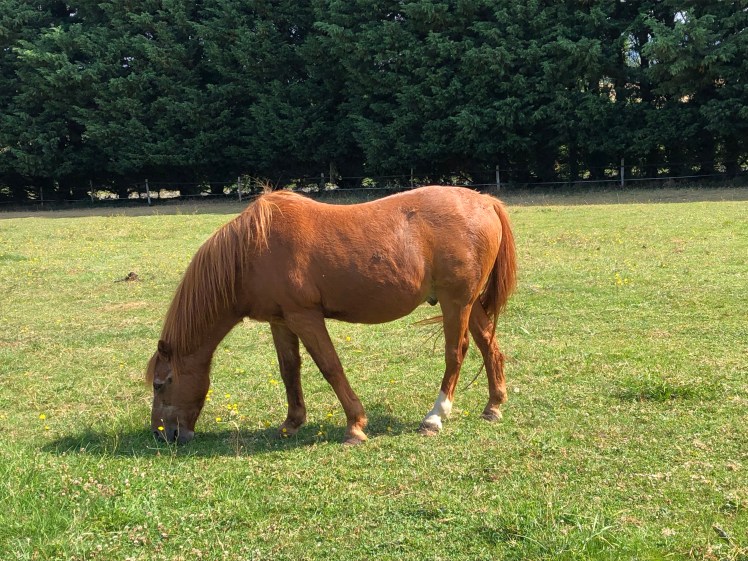 BD374085-2663-49C2-94F1-C478F0D69011