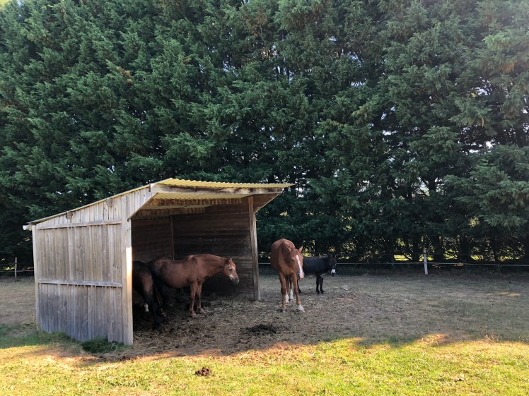 CBA009A9-815D-45C6-9290-321908066489