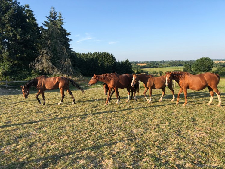 D49CAACE-6BAF-4B85-82E4-C17C18A2FE92