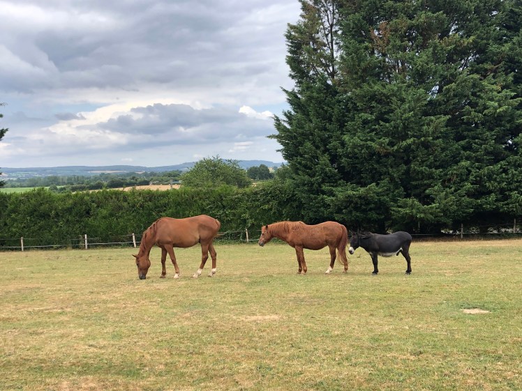 ED189B57-29FC-44F6-B61C-883F8B858DB3