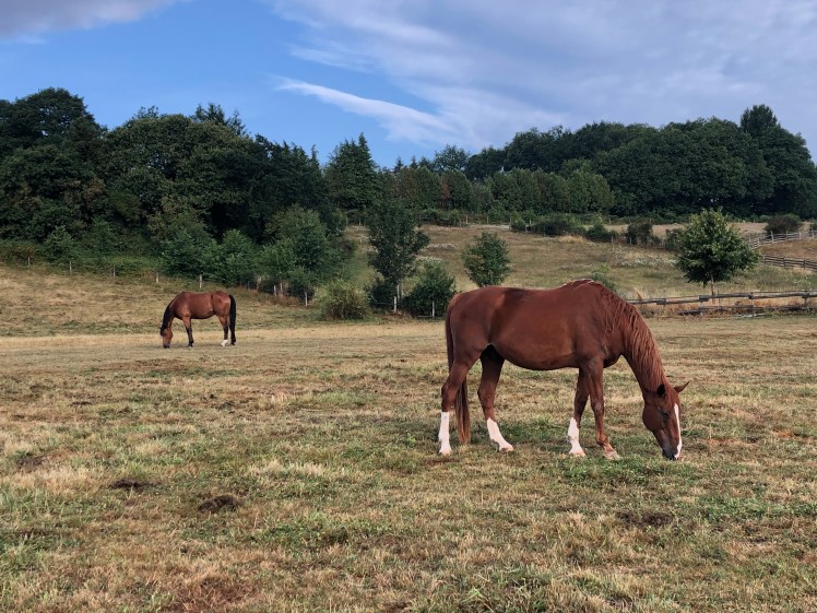 F5CFFC2E-D8D6-435A-BE26-5189B3121409