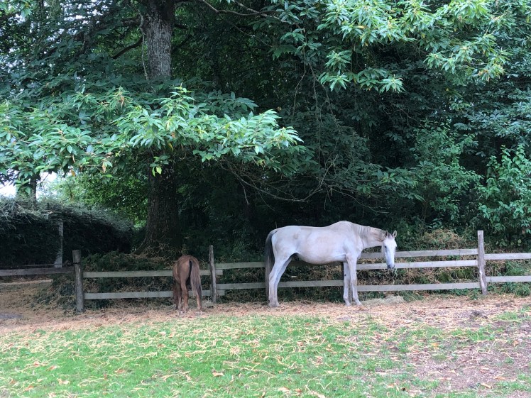 FE1DA281-4A49-4584-BDBD-8ED616D23901