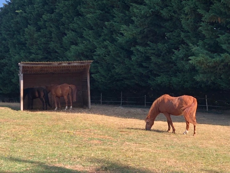 FE6072CC-AB46-49DA-94CE-DDCEEB29C2D5