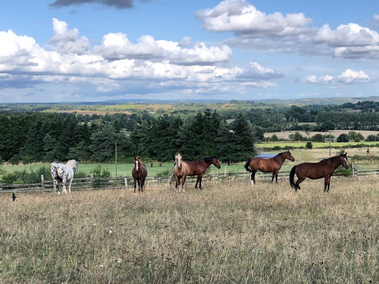 002185E2-B587-4888-8999-A0189484C10C