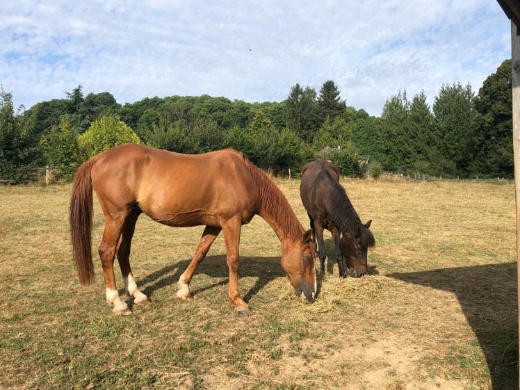 03858E18-70C3-4856-BB31-5239D1EA4B75