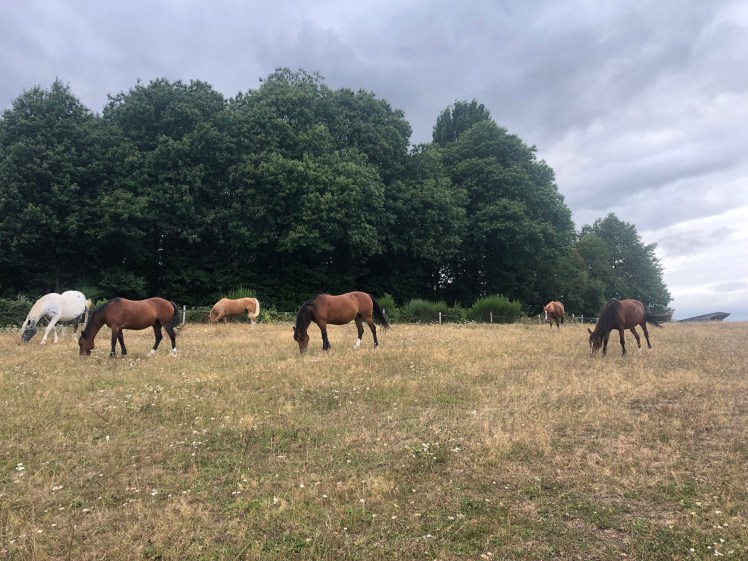 25099A84-E494-4F8F-A417-C4E6688B016D