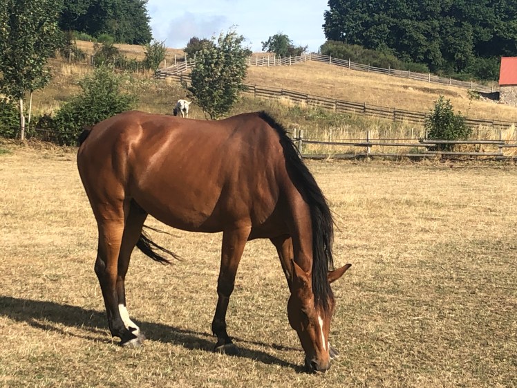 28690CFF-B974-4CCC-A317-1D5324616D6B