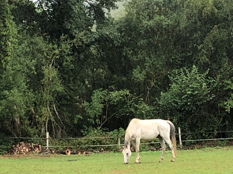 5176C06D-709B-4CD5-A21A-BBAC229AF84D