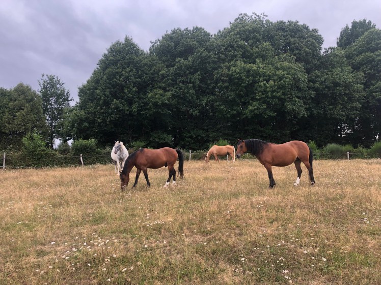 923642C9-EE78-42AB-80CC-E4AEB42859EE