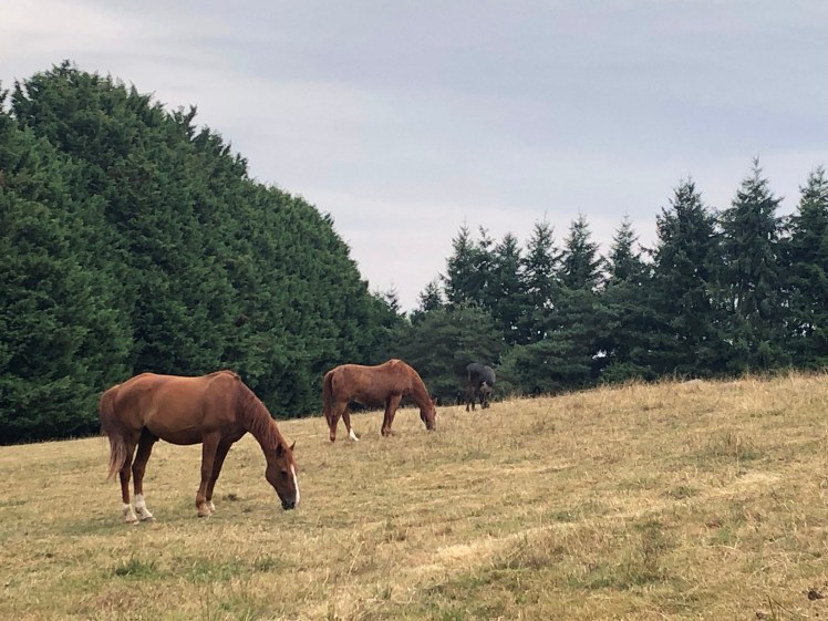 98738BE2-2C67-499E-B0F2-B3C179947814