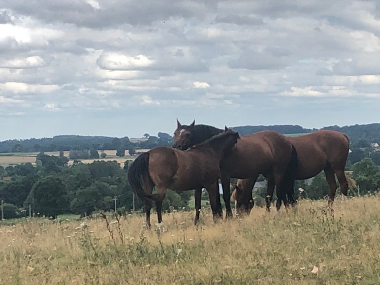 ABF9E2BD-011B-4EBC-A97F-F0D2BFC12745