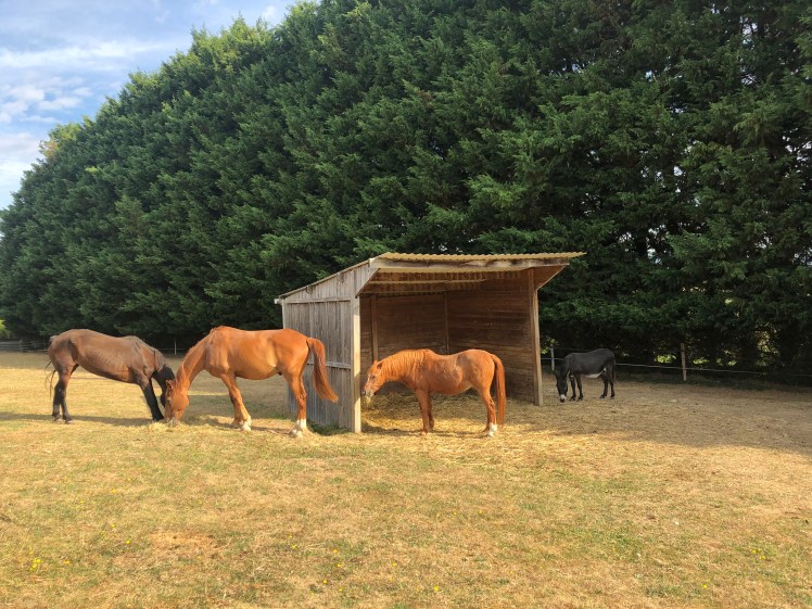 B3FBE1C5-DD5D-4DCE-BB94-E9975B2045B0