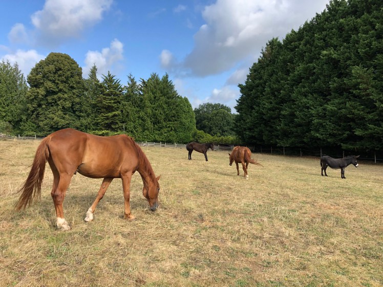 B554A879-10B6-4E0B-8AE6-418B69627EAB