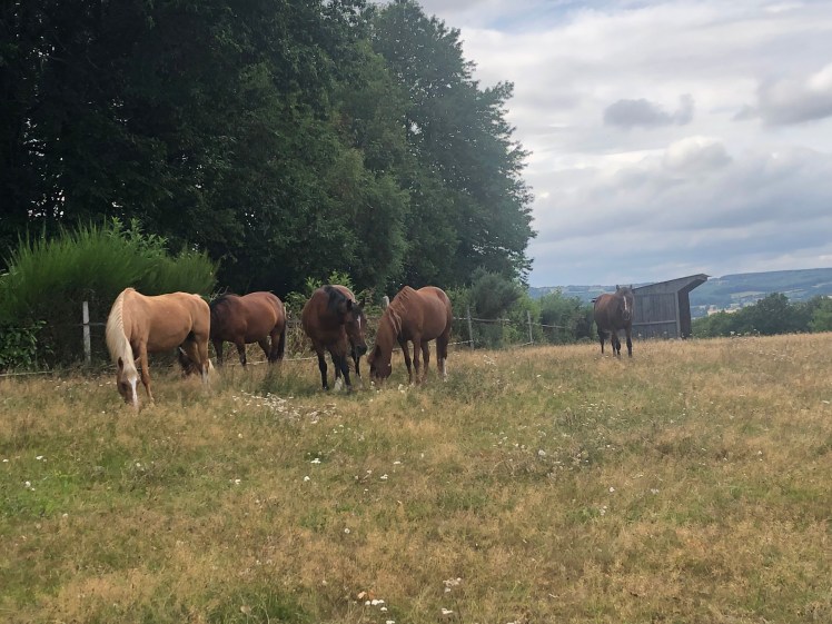 BB269211-FF93-4F2F-B100-CBEB91A7CAD1