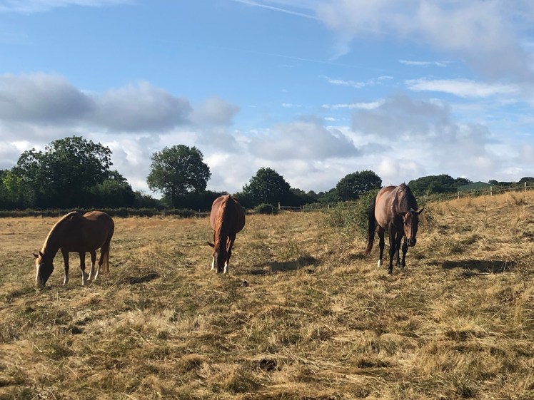 F65C7BAD-7D47-48BC-8321-143DDBE8667E