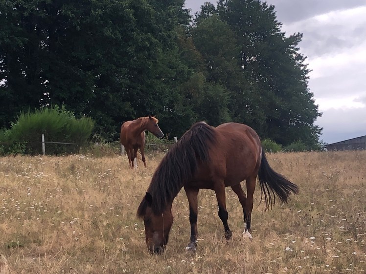 FC34FD54-EC74-4F71-955C-7D89F747E652